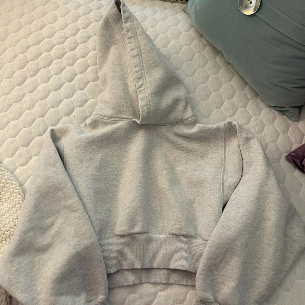 Aritzia cropped Gray Hoodie 2XS